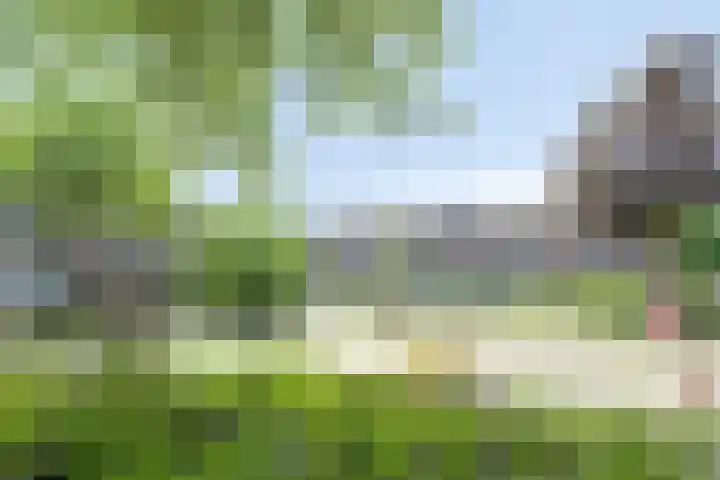 Koekelberg 21 Veldhoven thumbnail 48
