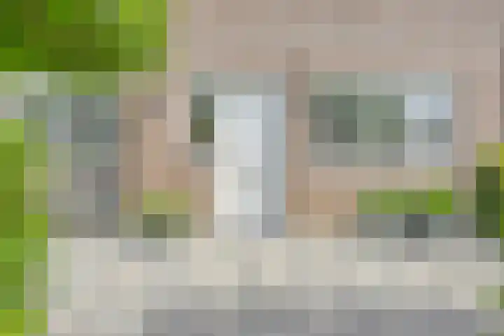 Koekelberg 21 Veldhoven thumbnail 6
