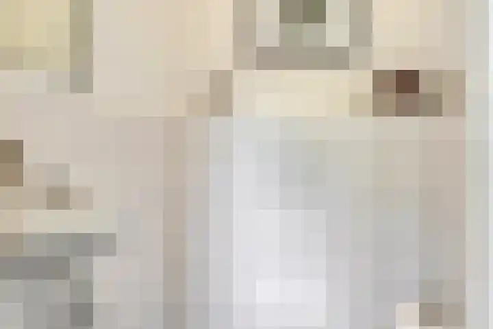 Koekelberg 21 Veldhoven thumbnail 8