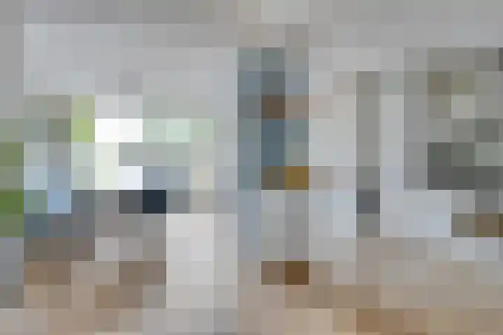 Koekelberg 37 Veldhoven thumbnail 10