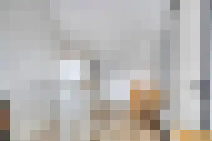 Koekelberg 37 Veldhoven thumbnail 31
