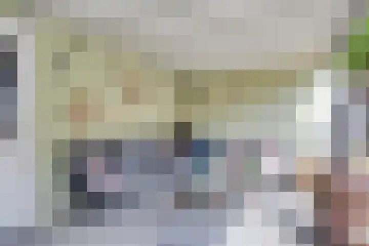 Koekelberg 37 Veldhoven thumbnail 38