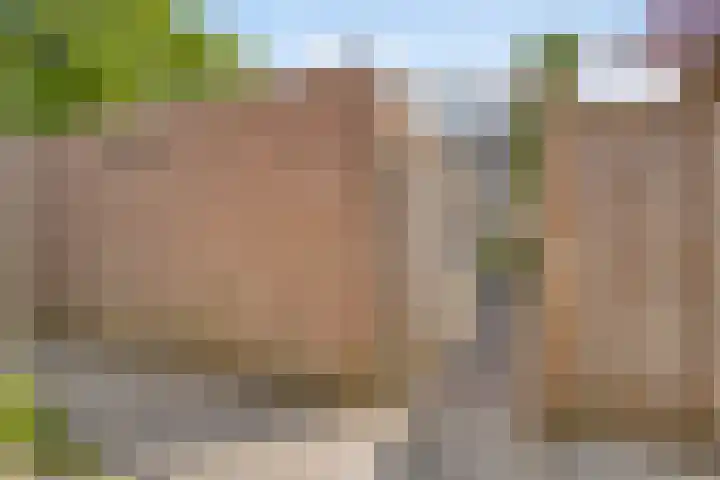 Koekelberg 37 Veldhoven thumbnail 40