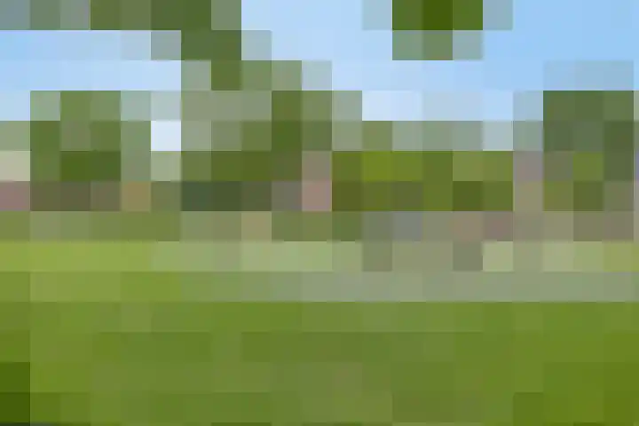 Koekelberg 37 Veldhoven thumbnail 42