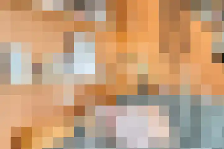 Koekelberg 37 Veldhoven thumbnail 7