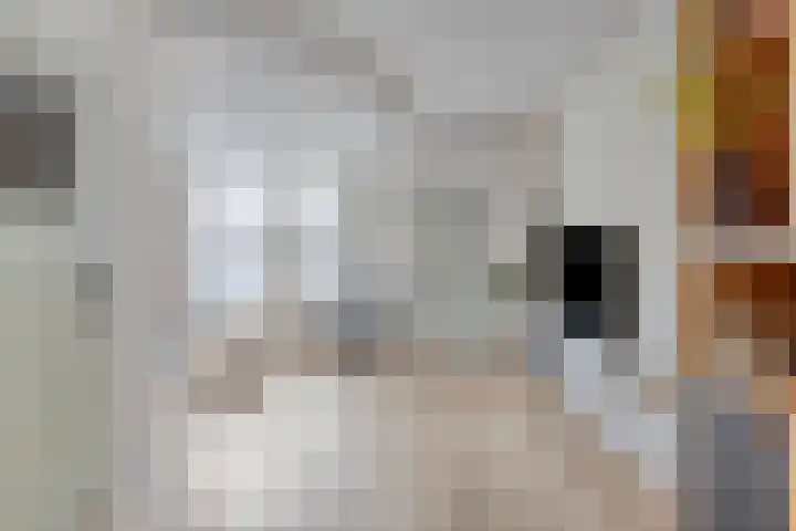 Koekelberg 37 Veldhoven thumbnail 9
