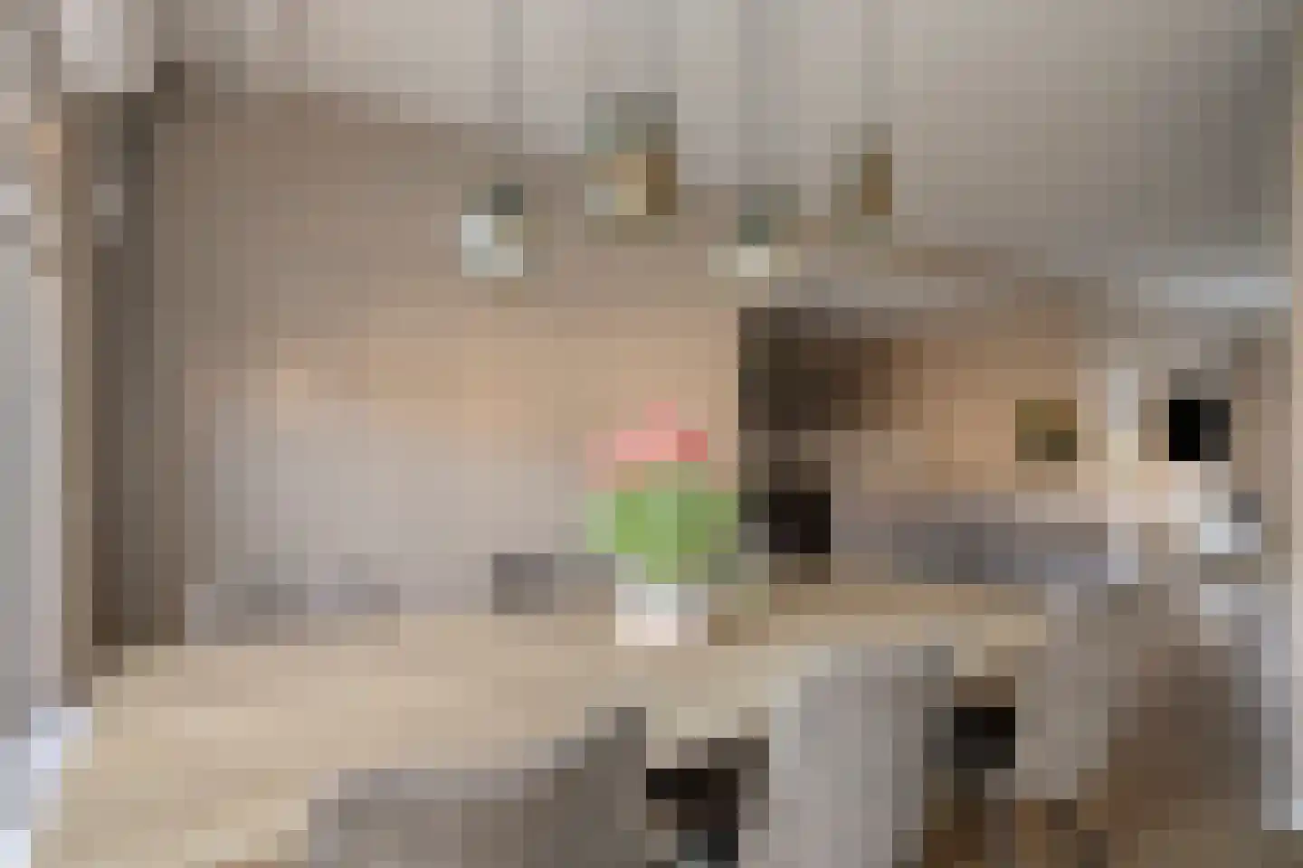 Koekelberg 8 Veldhoven thumbnail 12