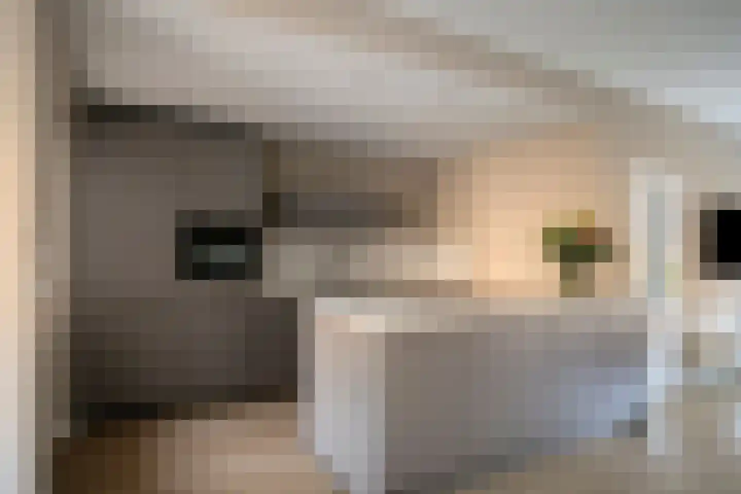 Koekelberg 8 Veldhoven thumbnail 14