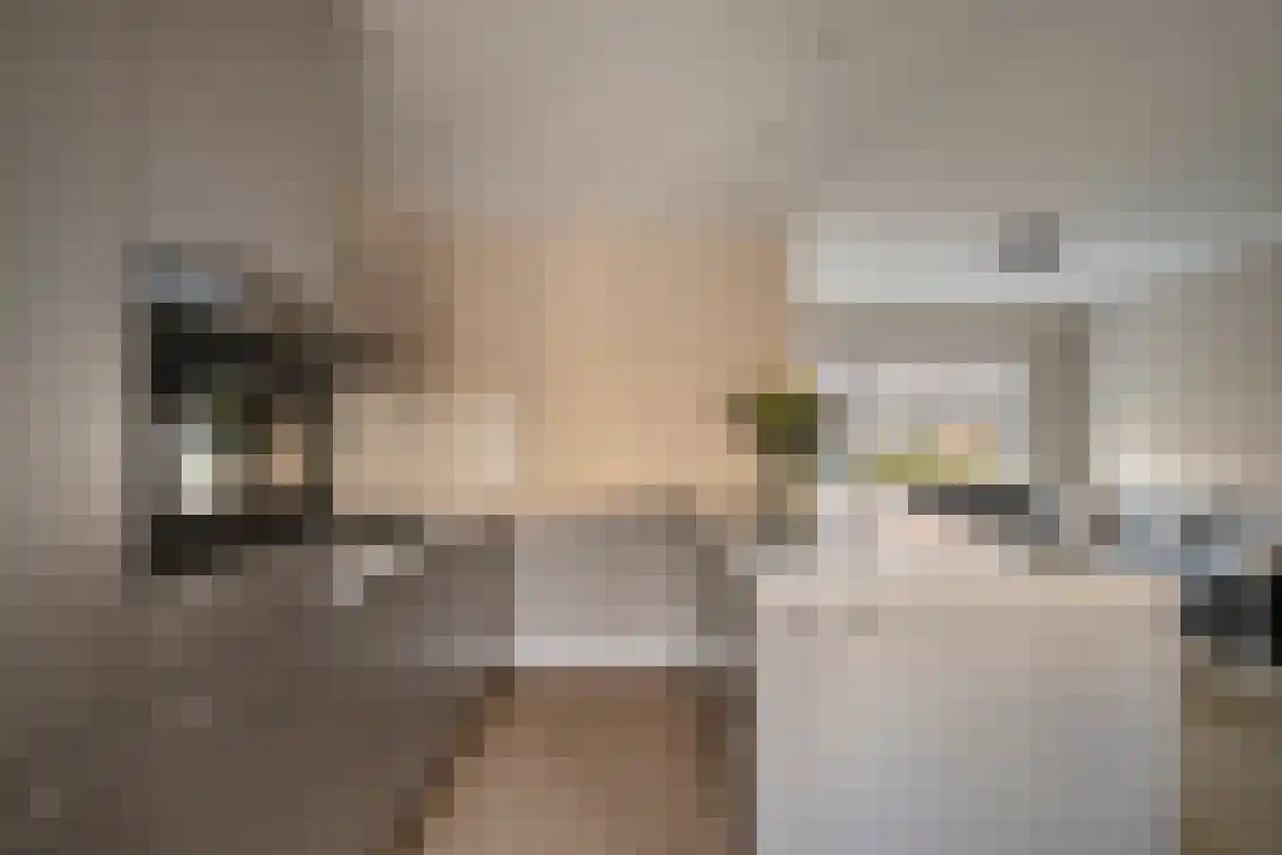 Koekelberg 8 Veldhoven thumbnail 17