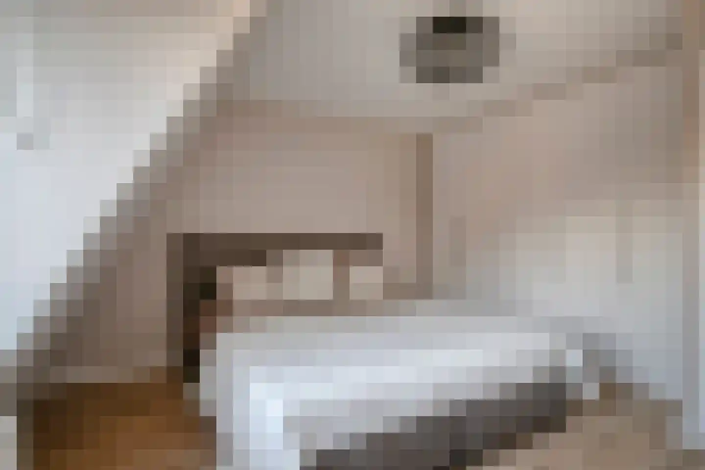 Koekelberg 8 Veldhoven thumbnail 22
