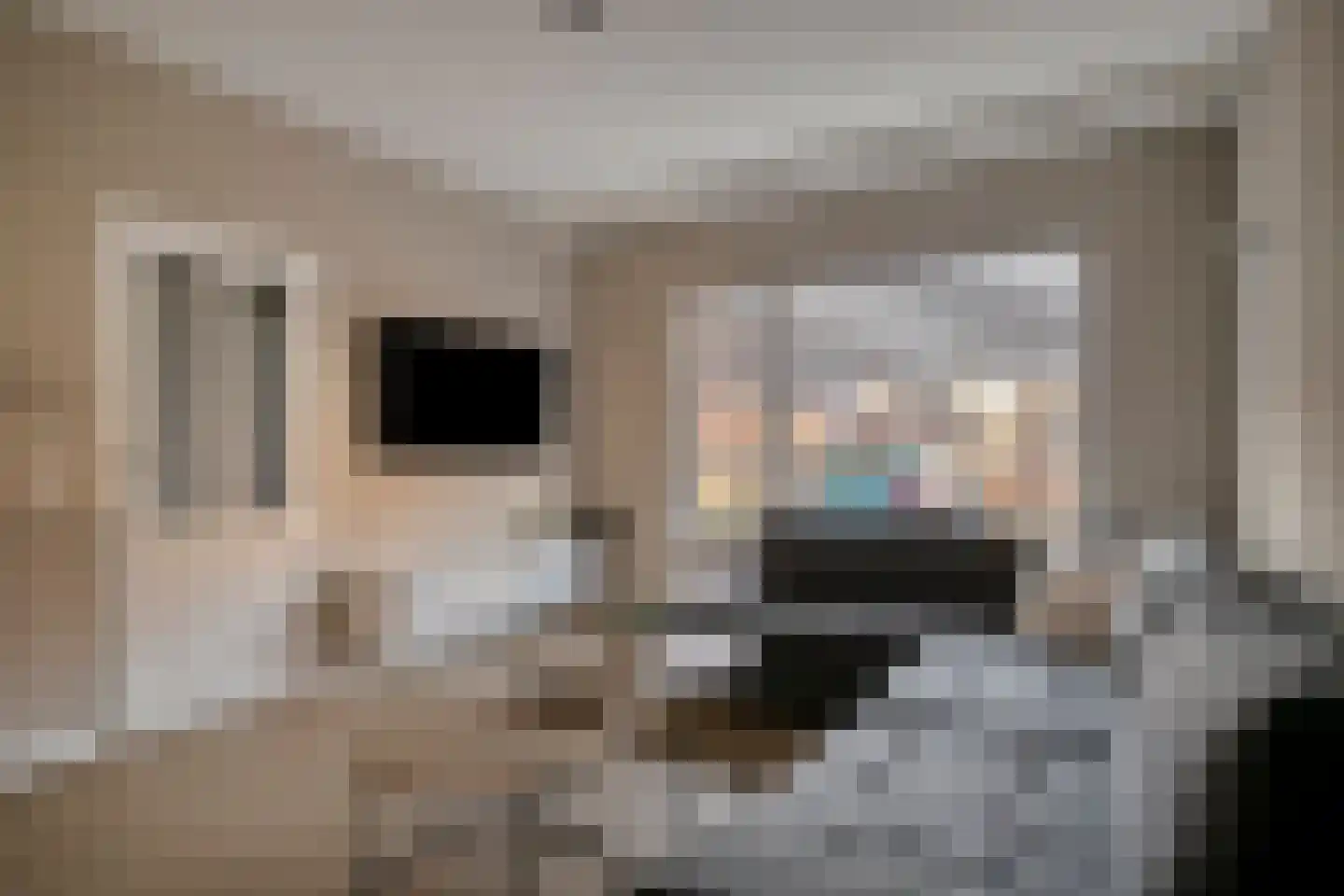 Koekelberg 8 Veldhoven thumbnail 8