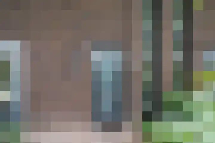 Koekendaalseweg 28 Doetinchem thumbnail 10