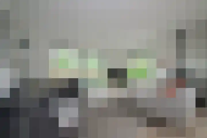 Koekendaalseweg 28 Doetinchem thumbnail 11