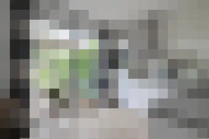Koekendaalseweg 28 Doetinchem thumbnail 18