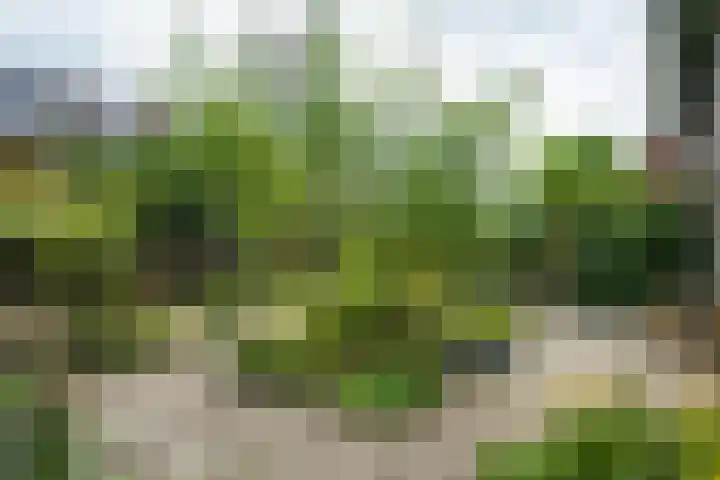 Koekendaalseweg 28 Doetinchem thumbnail 37