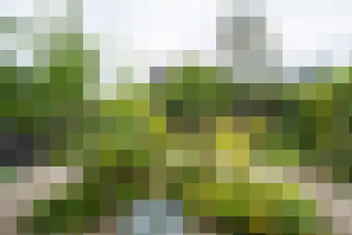 Koekendaalseweg 28 Doetinchem thumbnail 40