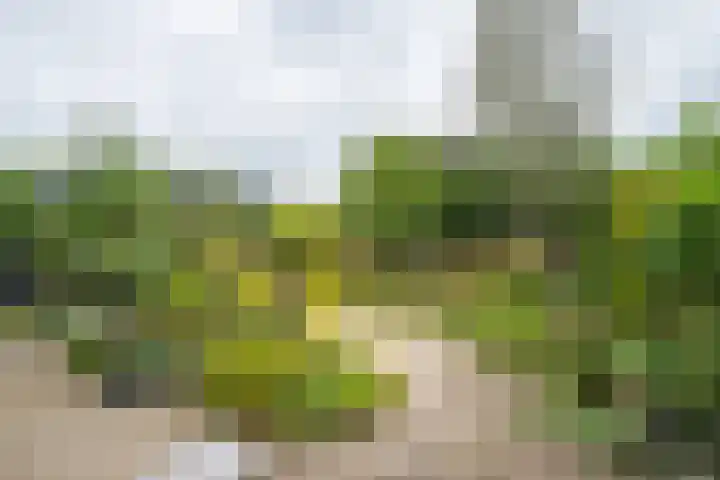 Koekendaalseweg 28 Doetinchem thumbnail 41