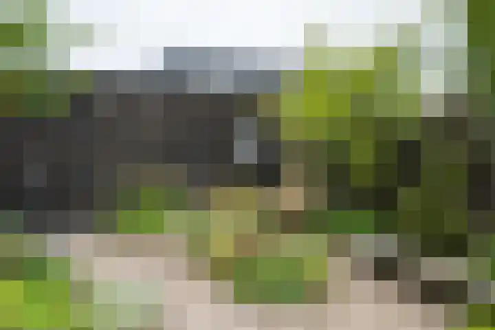 Koekendaalseweg 28 Doetinchem thumbnail 42