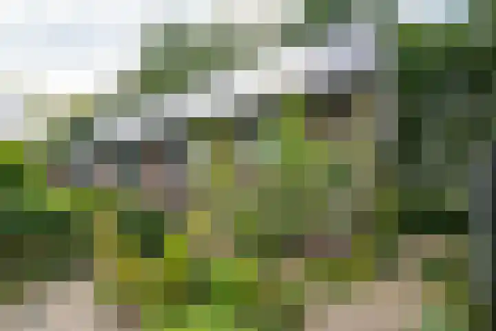 Koekendaalseweg 28 Doetinchem thumbnail 43