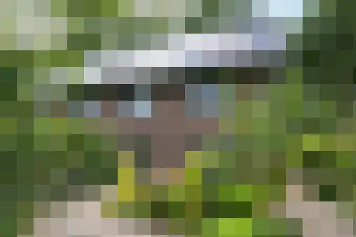 Koekendaalseweg 28 Doetinchem thumbnail 44