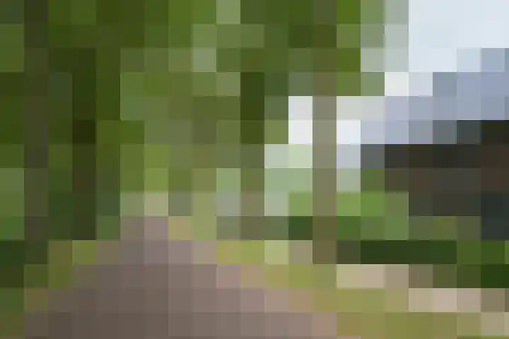 Koekendaalseweg 28 Doetinchem thumbnail 5
