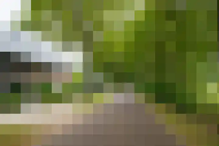 Koekendaalseweg 28 Doetinchem thumbnail 7