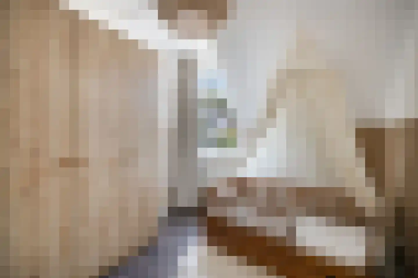 Koekersestraat 53 Sevenum thumbnail 16