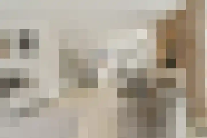 Koekkoekhof 4 Rhoon thumbnail 10