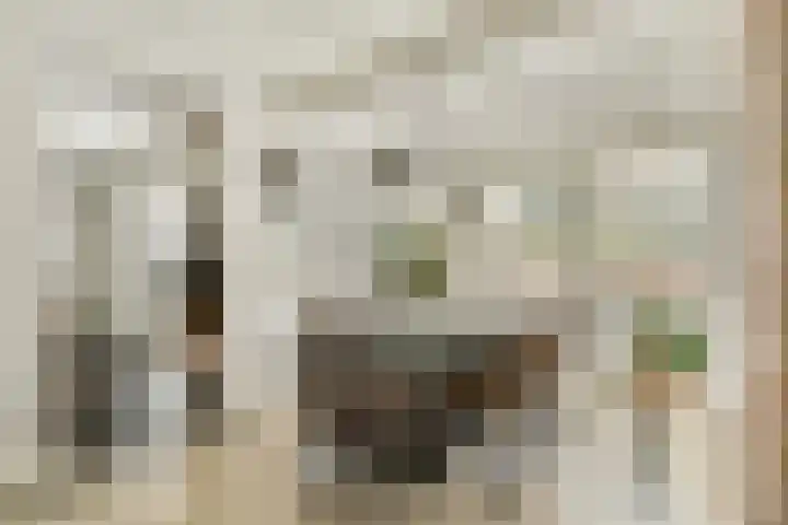 Koekkoekhof 4 Rhoon thumbnail 11