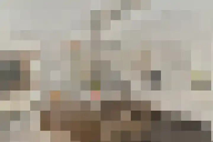 Koekkoekhof 4 Rhoon thumbnail 12