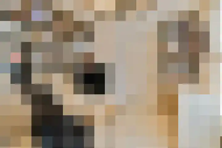 Koekkoekhof 4 Rhoon thumbnail 13