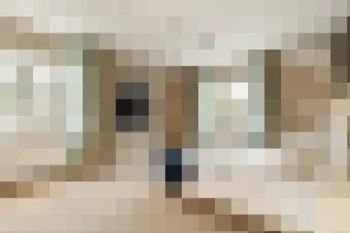 Koekkoekhof 4 Rhoon thumbnail 15