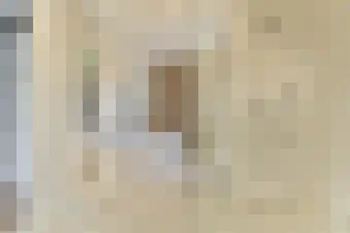 Koekkoekhof 4 Rhoon thumbnail 16