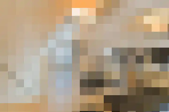 Koekkoekhof 4 Rhoon thumbnail 24