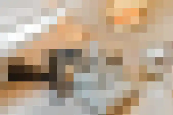 Koekkoekhof 4 Rhoon thumbnail 25