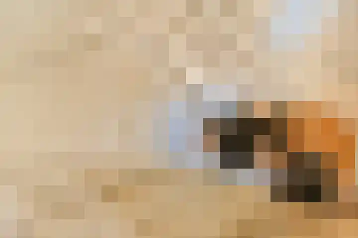 Koekkoekhof 4 Rhoon thumbnail 27