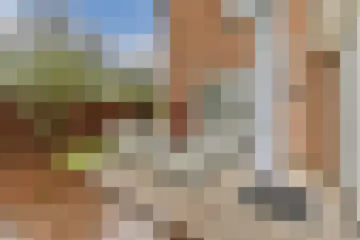 Koekkoekhof 4 Rhoon thumbnail 28