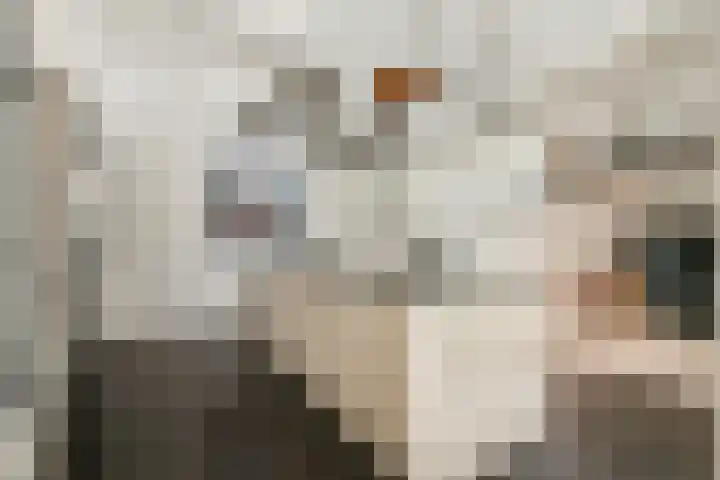 Koekkoekhof 4 Rhoon foto 3