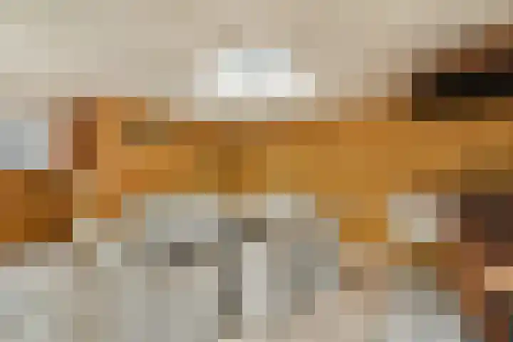 Koekkoekhof 4 Rhoon thumbnail 30