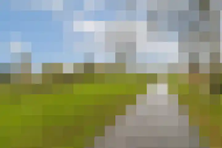 Koekkoekhof 4 Rhoon thumbnail 36