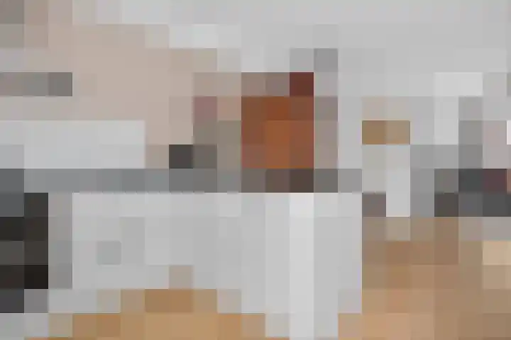 Koekkoekplein 15 Rotterdam thumbnail 12