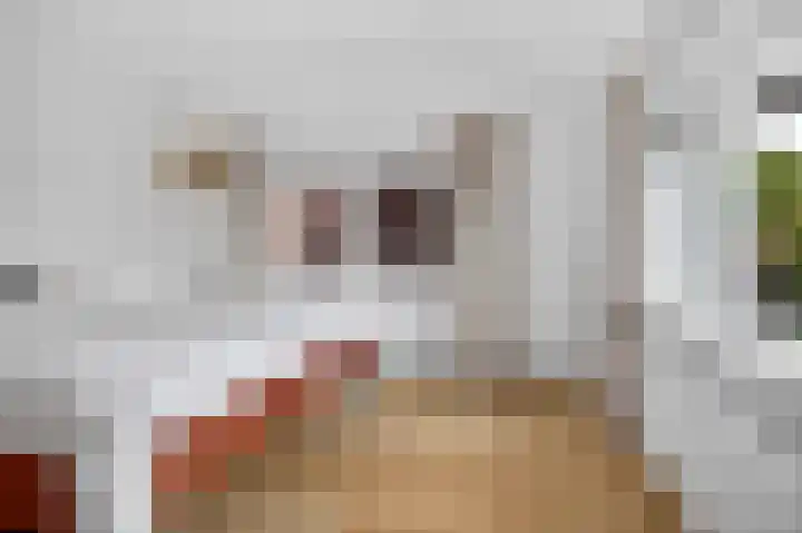 Koekkoekplein 15 Rotterdam thumbnail 20
