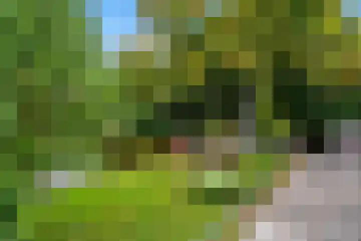Koekkoekplein 15 Rotterdam thumbnail 5
