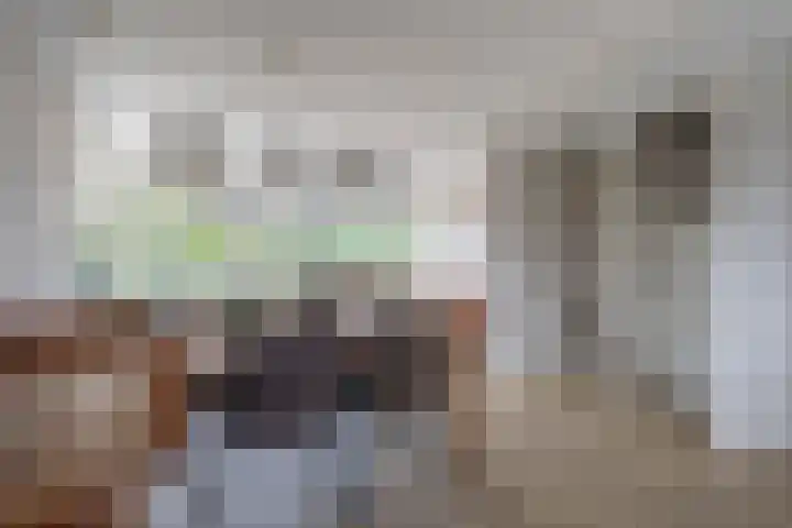 Koekoek 1 Heemskerk thumbnail 13