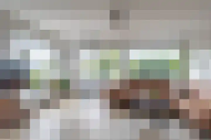 Koekoek 1 Heemskerk thumbnail 14