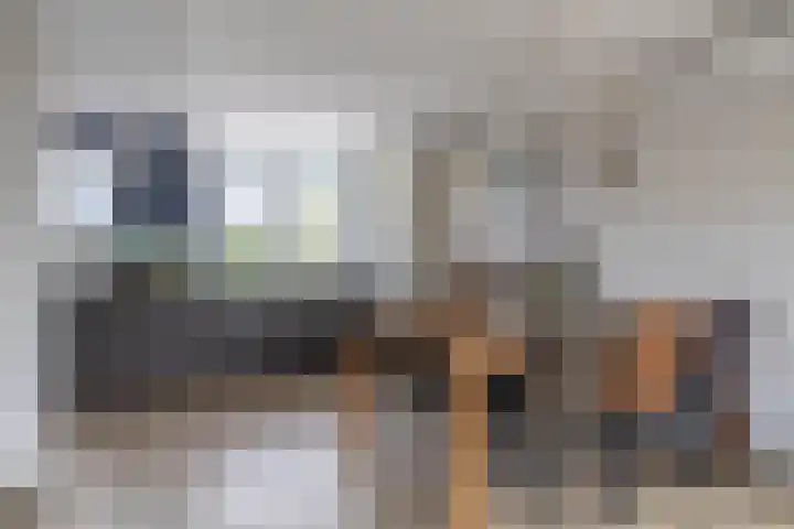 Koekoek 1 Heemskerk thumbnail 17