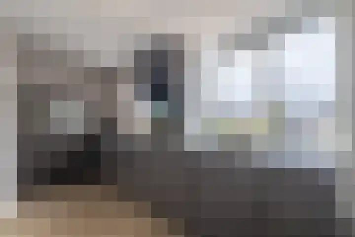 Koekoek 1 Heemskerk thumbnail 18