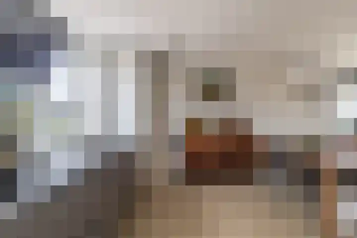 Koekoek 1 Heemskerk thumbnail 19