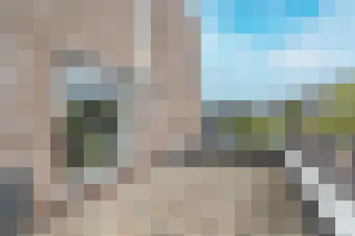 Koekoek 1 Heemskerk thumbnail 23