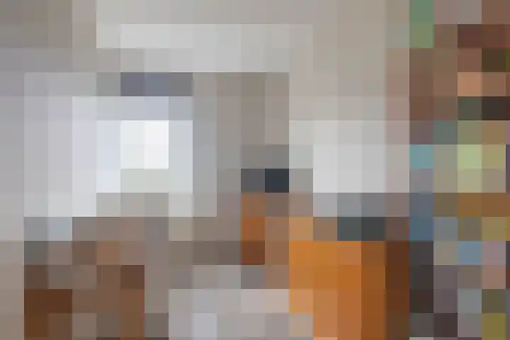 Koekoek 1 Heemskerk thumbnail 29